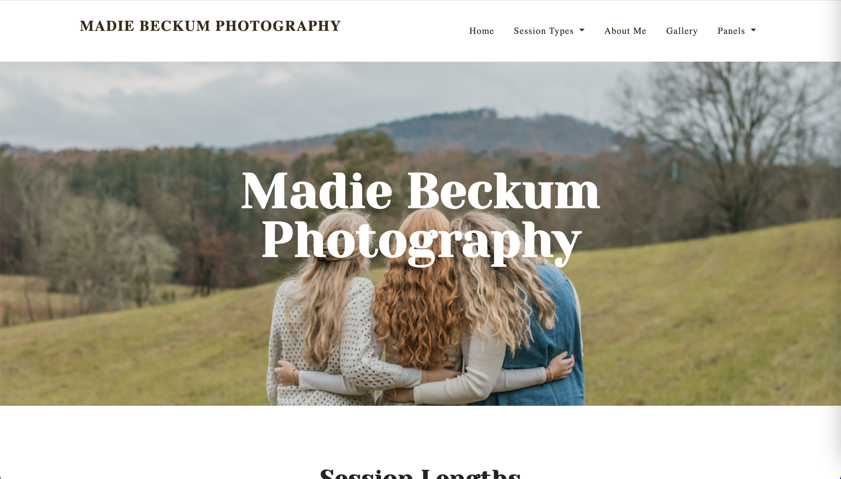 Screenshot of Panel Three of Project Two